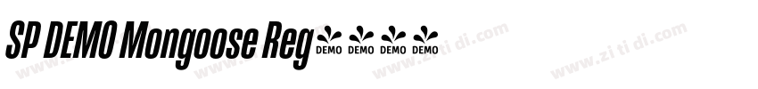 SP DEMO Mongoose Reg字体转换